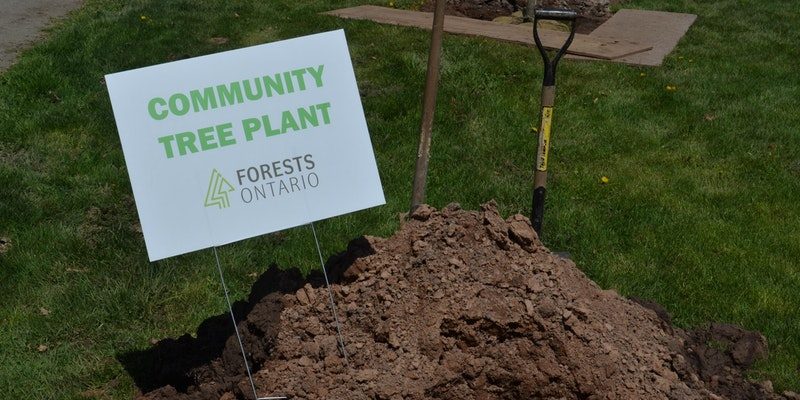 Niagara Falls Community Tree Planting – May 5, 2018